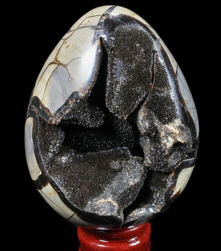 Septarian Dragon Egg Geode - Black Crystals #83315